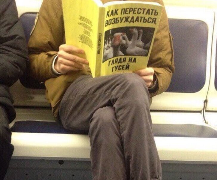 3. 3. книги, книжный магазин, новинка, обложка, прикол, юмор